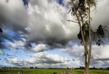 利物浦战胜对手，继续追赶积分榜领头羊