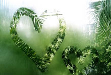 帕尔马击败博洛尼亚，保住保级希望