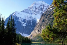 勒沃库森客场取分，欧战资格仍有望