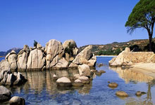 塞维利亚新火花：争取进军欧战的崛起之路